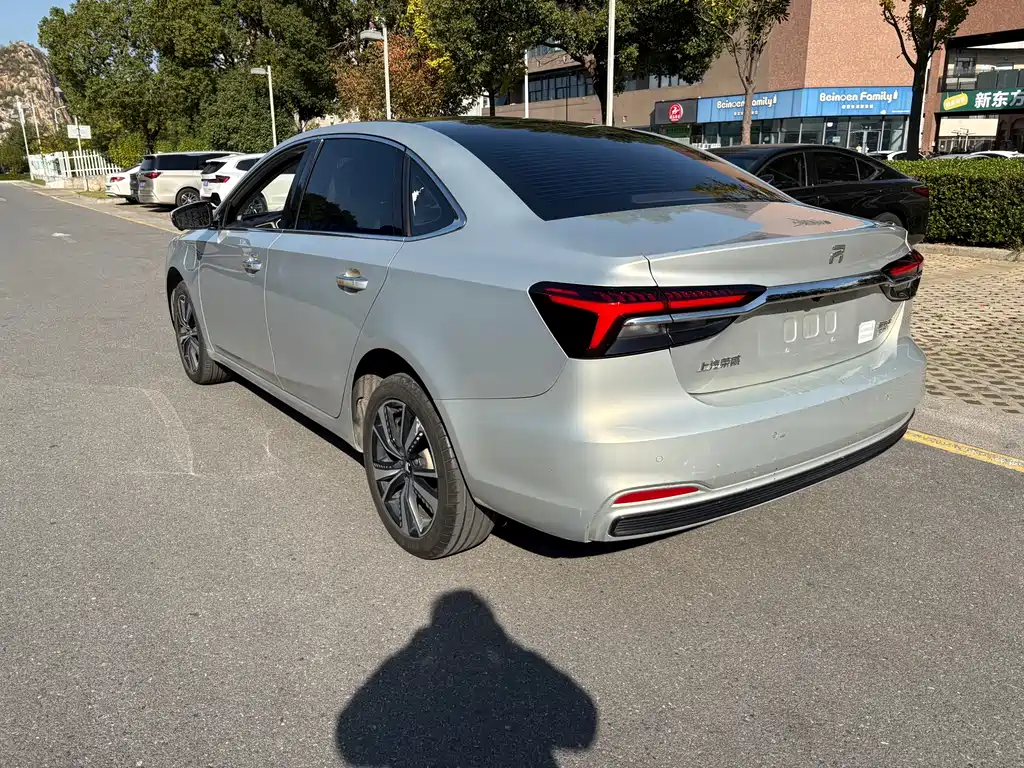 RISING AUTO FEIFAN ER6