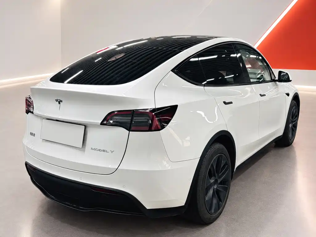 Tesla Model Y — миниатюра 4