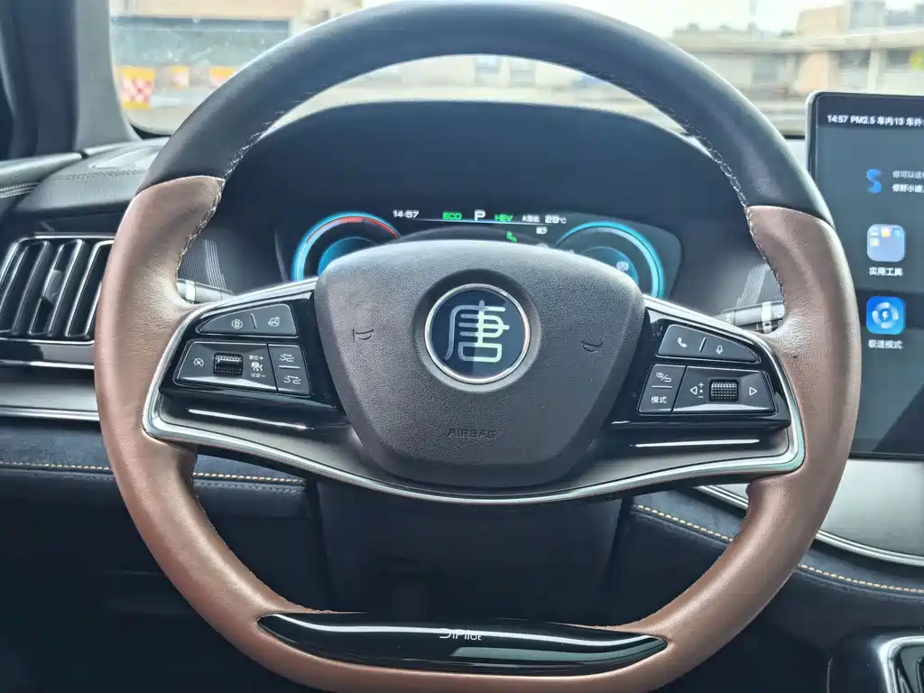 BYD Tang New Energy — миниатюра 11