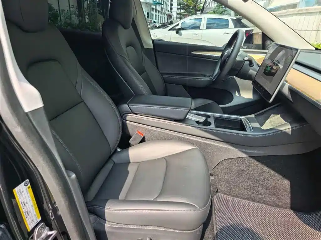 Tesla Model Y — миниатюра 10