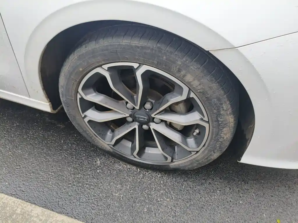 Geely Binrui — миниатюра 8