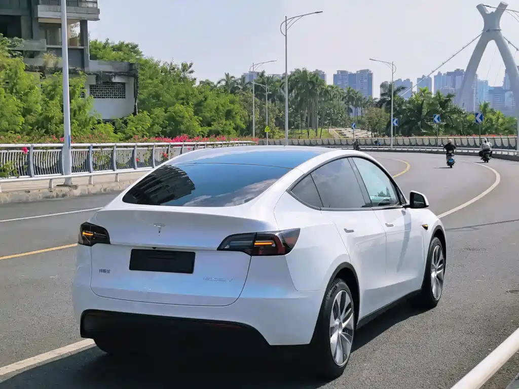 Tesla Model Y — миниатюра 4