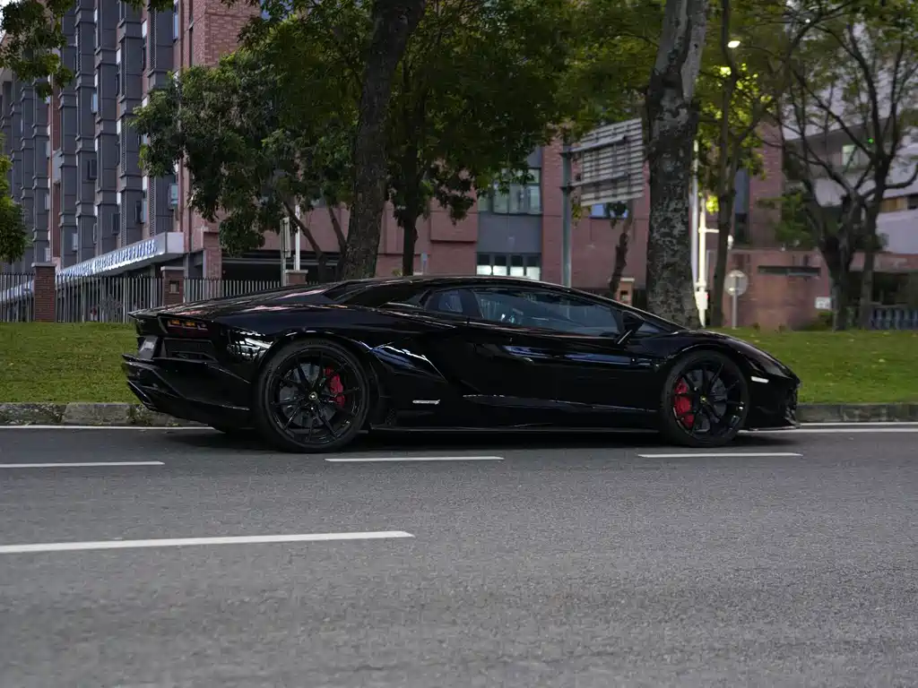 Lamborghini Aventador — миниатюра 11