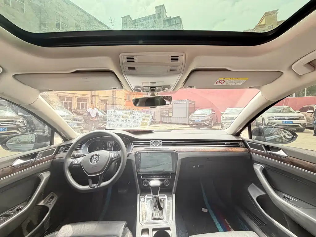 Volkswagen Magotan 2019 330TSI DSG Luxury VI