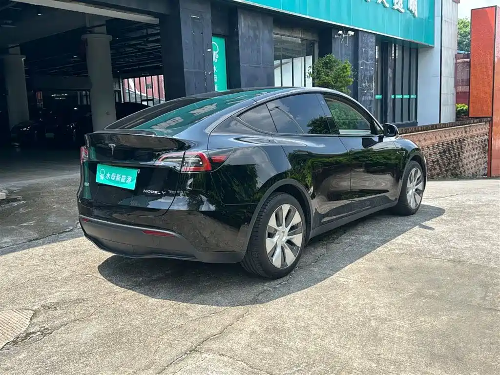 Tesla Model Y — миниатюра 10