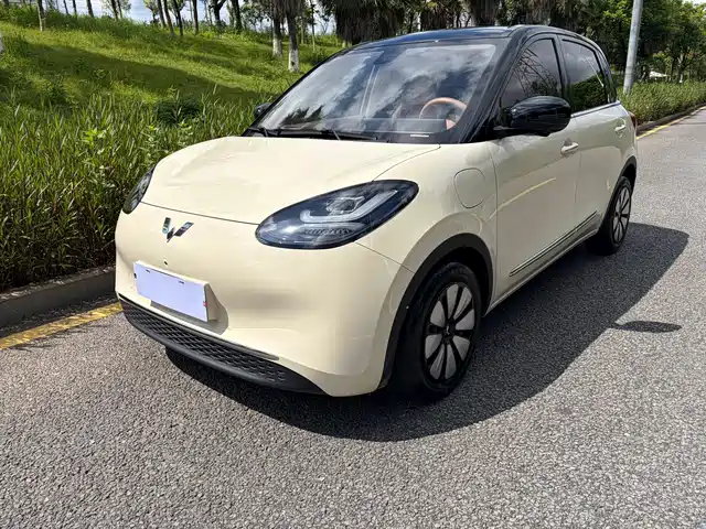 2025 Wuling Motors Binguo
