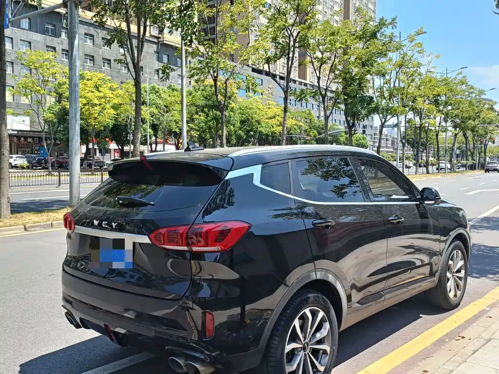 WEI PAI WEI BRAND VV6