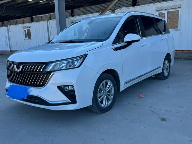 WULING WULING JIACHEN