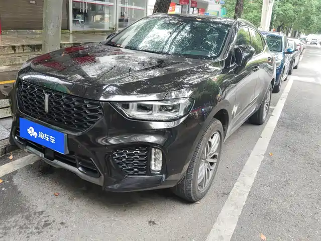 2019 Wey VV5