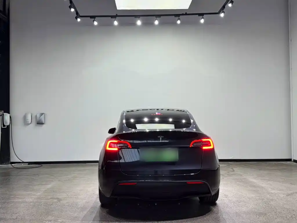 Tesla Model Y — миниатюра 9