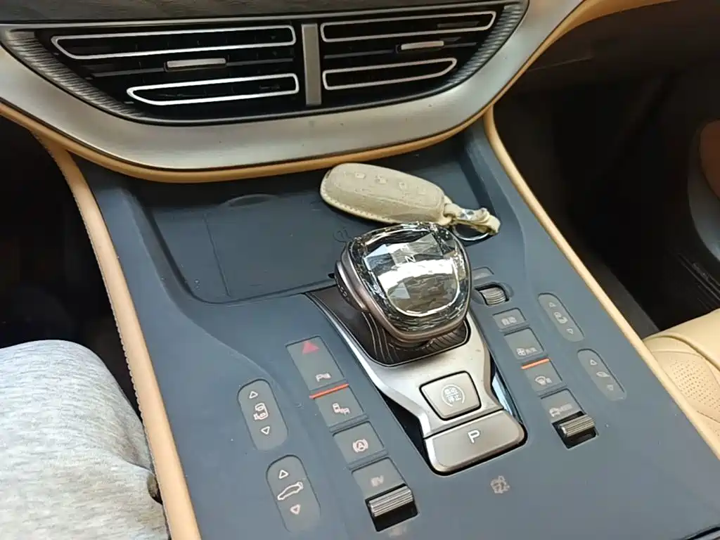 Denza Denza D9 — миниатюра 14