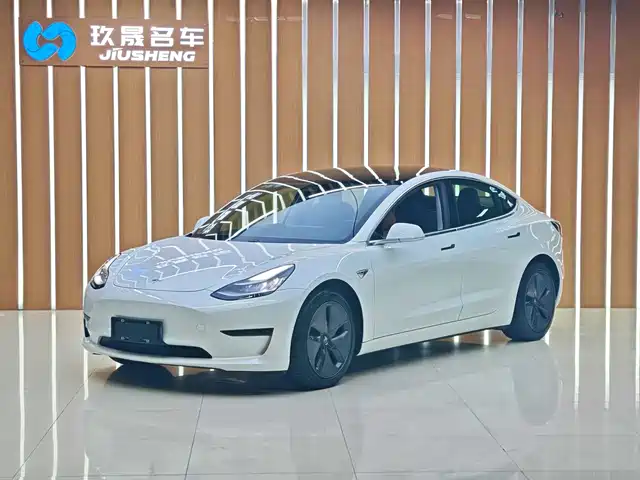 TESLA MODEL 3 2020