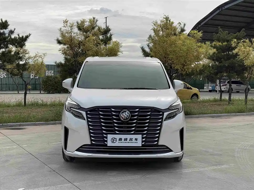 Buick GL8 — миниатюра 2