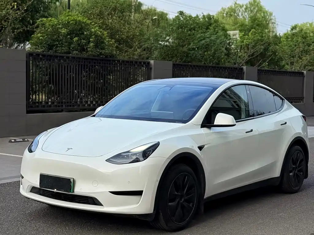 Tesla Model Y — миниатюра 6
