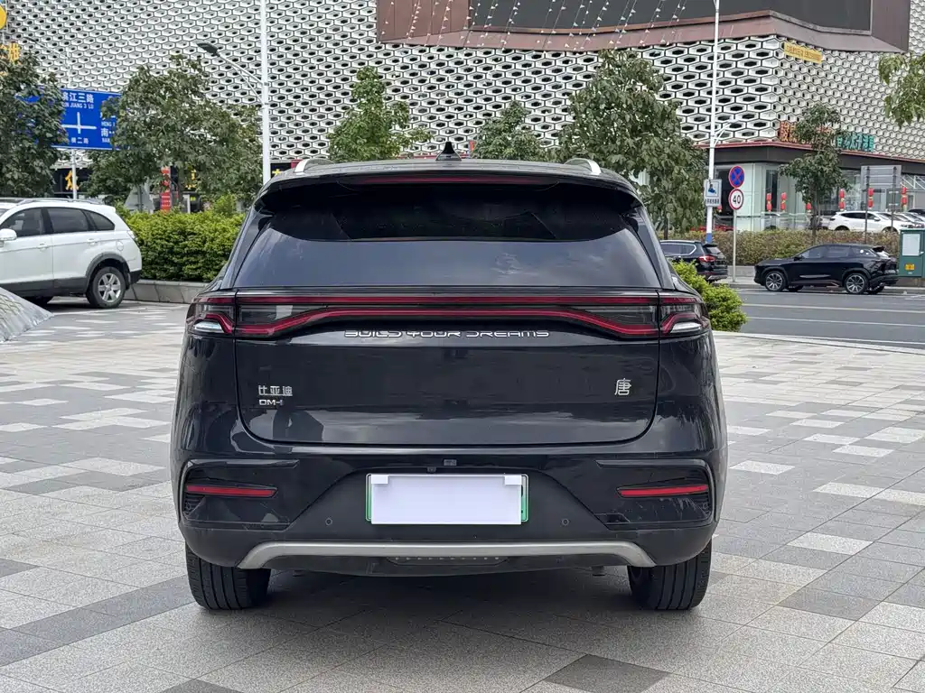 BYD Tang New Energy — миниатюра 3