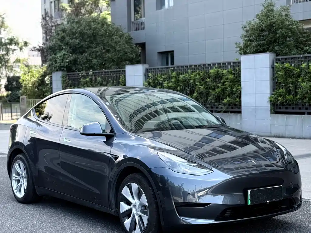 Tesla Model Y — миниатюра 7