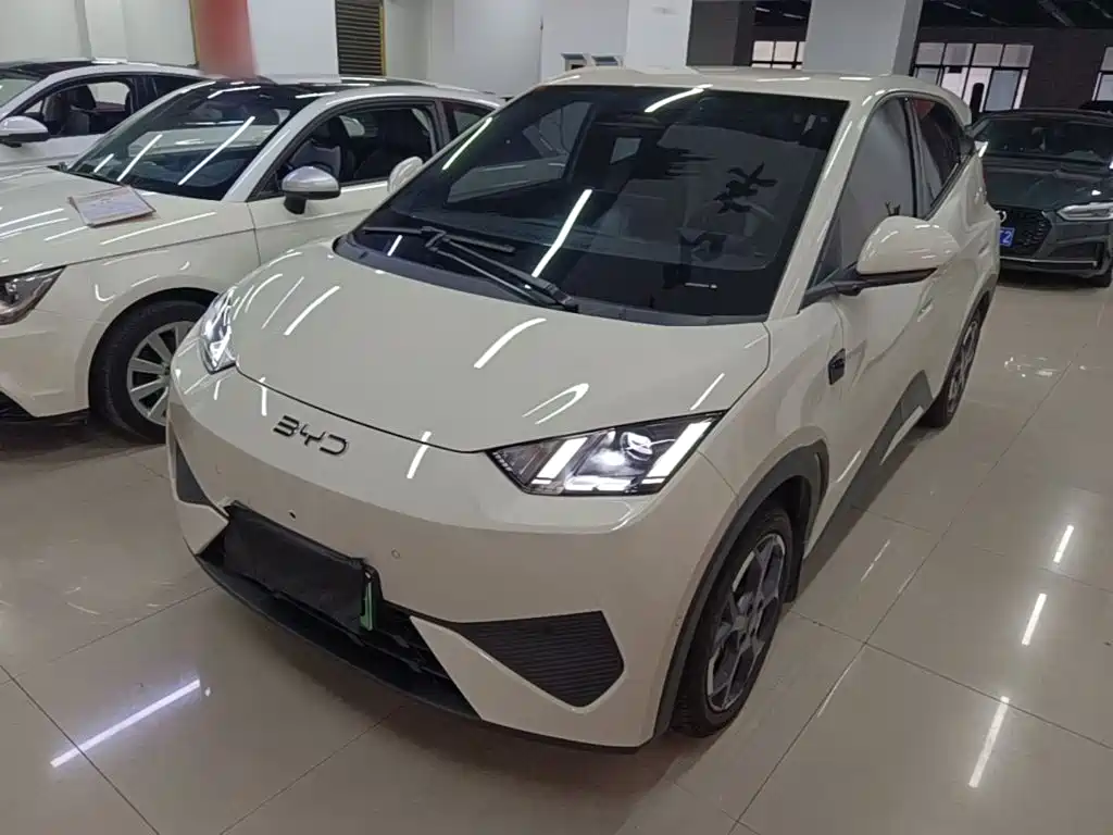 BYD Seagull