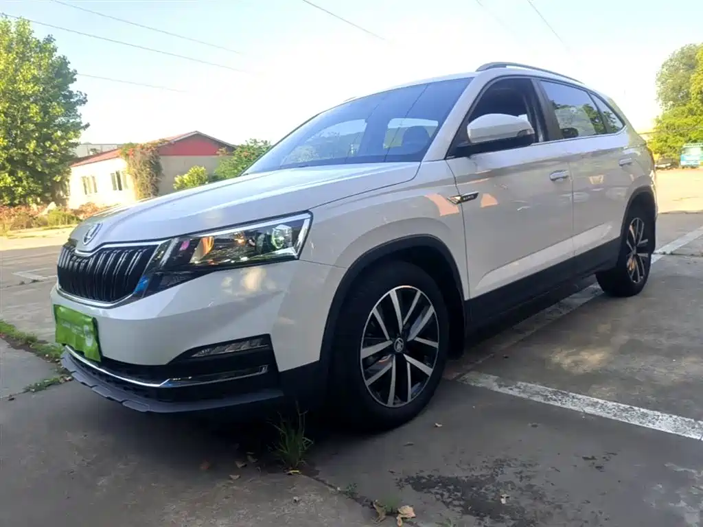 Купить Skoda Kamiq