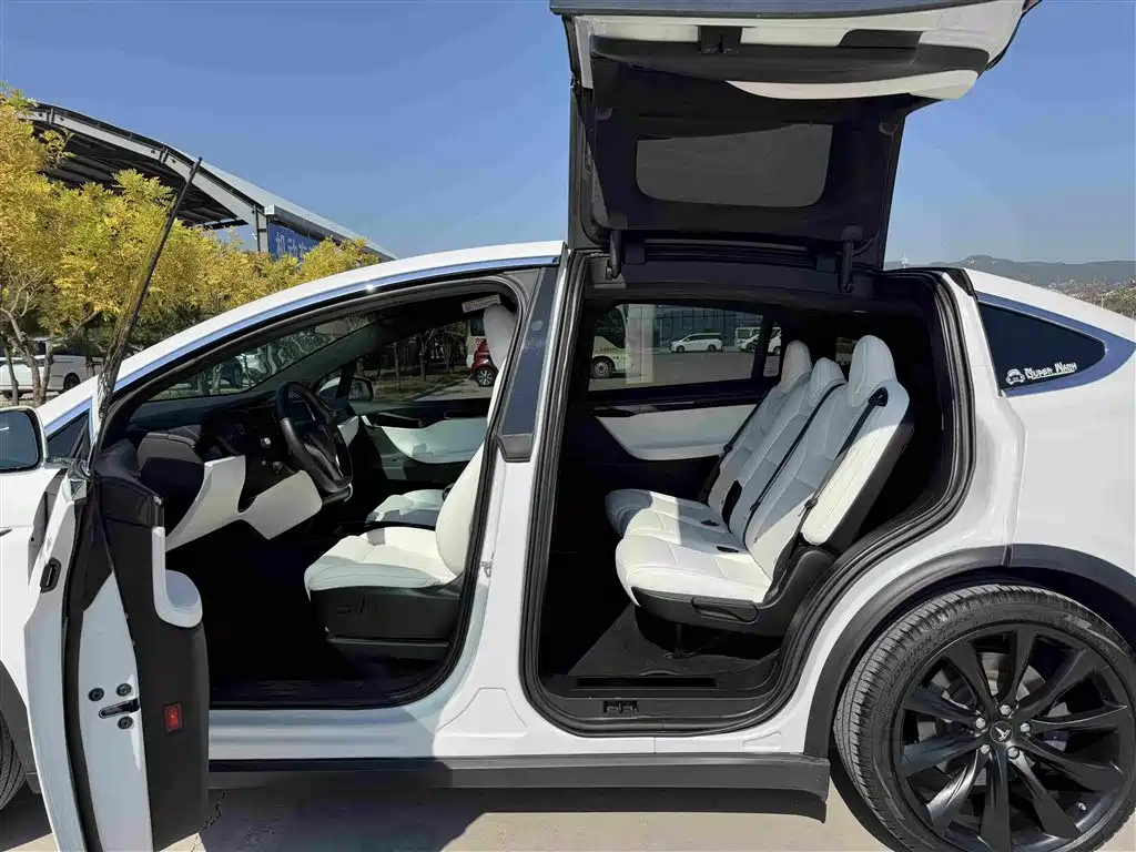Tesla Model X — миниатюра 11