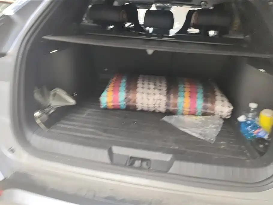 BYD SONGJIANG NEW ENERGY