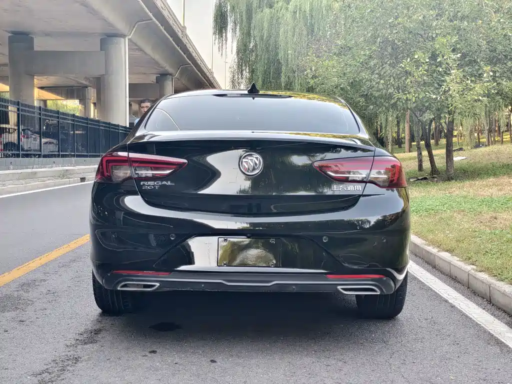 Buick Regal — миниатюра 14