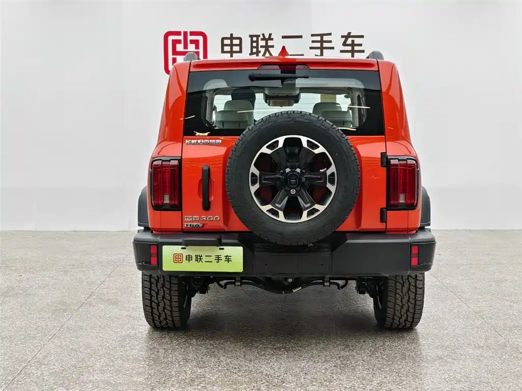 TANK TANK 300 NEW ENERGY