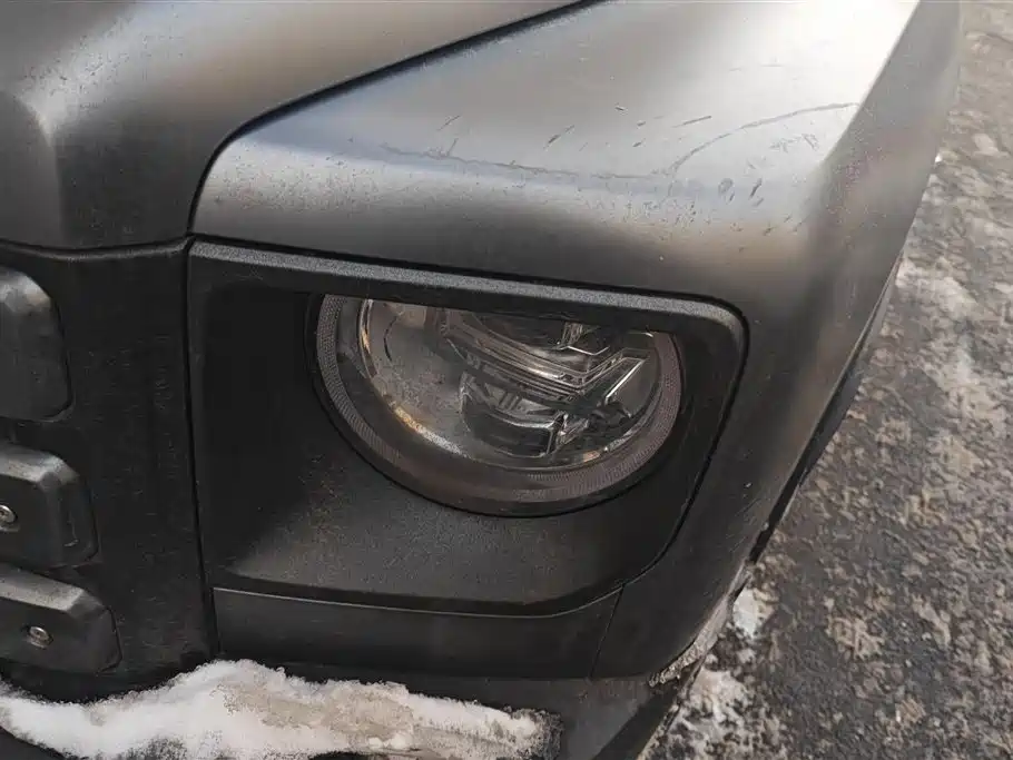 HAVAL RAPTORS NEW ENERGY