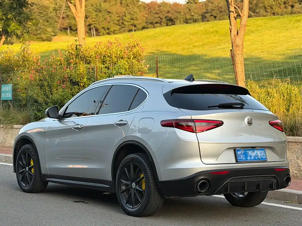 Alfa Romeo Stelvio — миниатюра 5