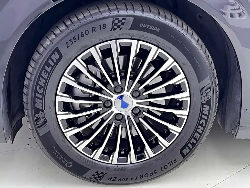 Denza Denza D9 — миниатюра 11