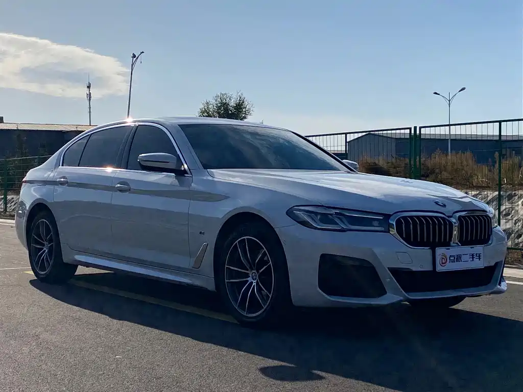 BMW 5 Series — миниатюра 3