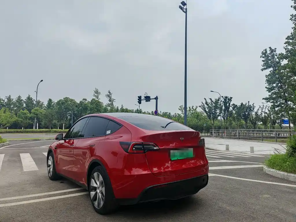 Tesla Model Y — миниатюра 9