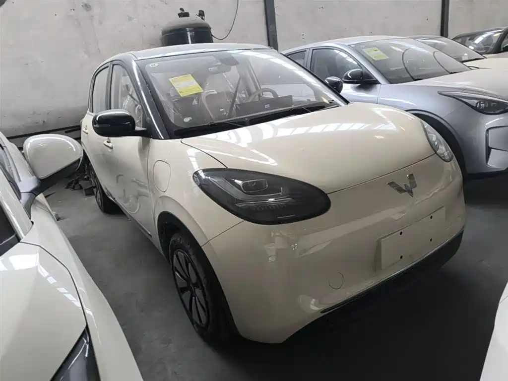 Wuling Binguo 2025 333km Enjoy