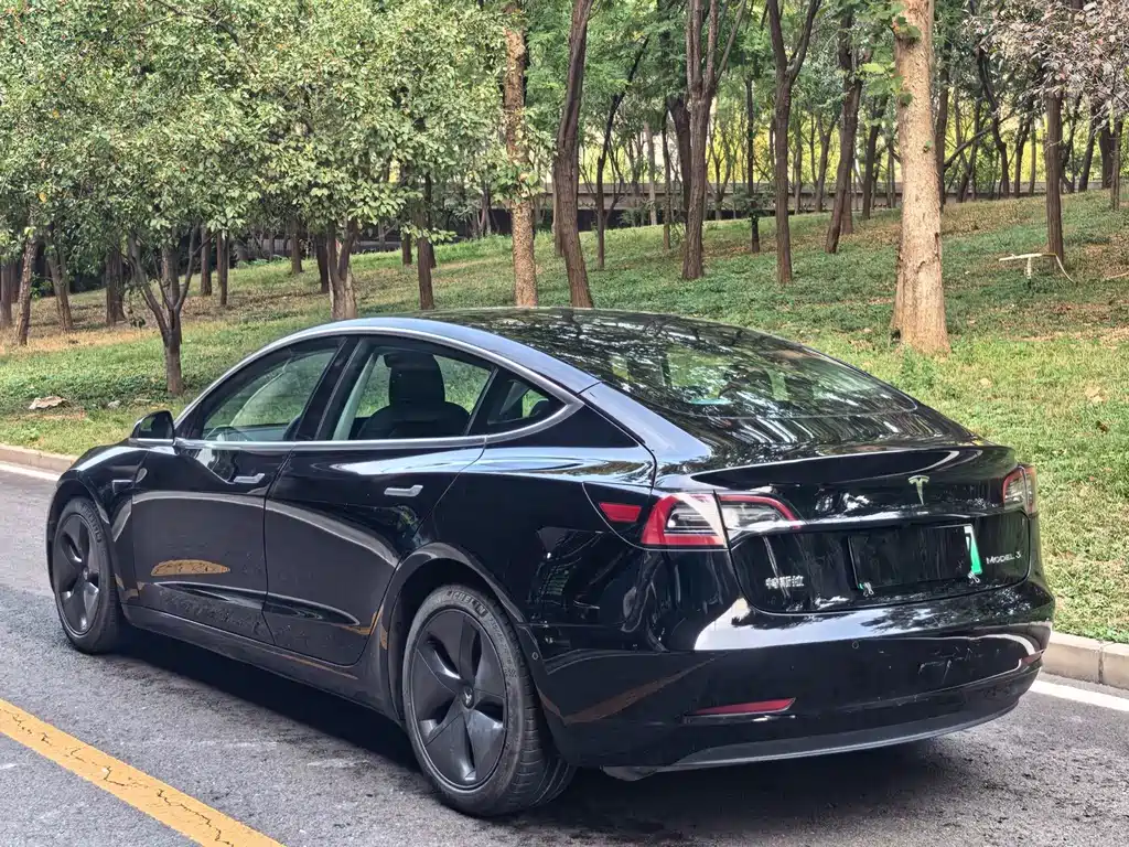 Tesla Model 3 — миниатюра 12