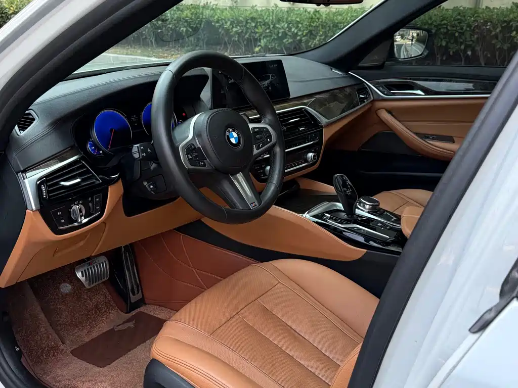 BMW 5 Series 5 2018 530Li Premium M Sport