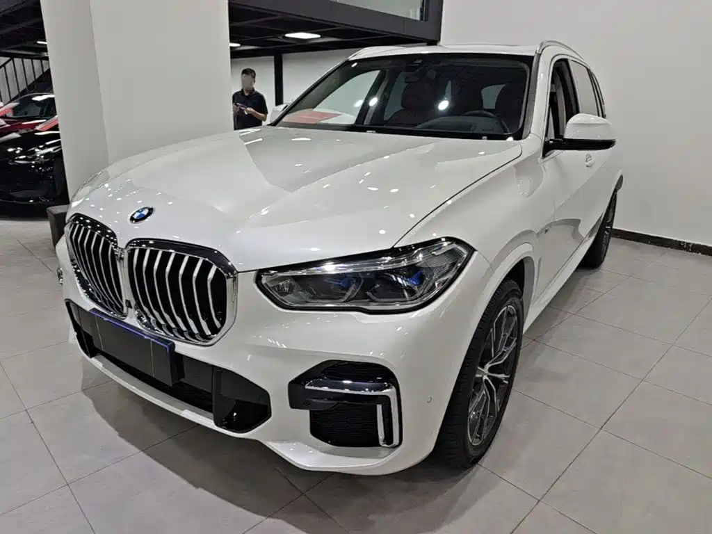 BMW X5 2022 xDrive 30Li Premium M Sport