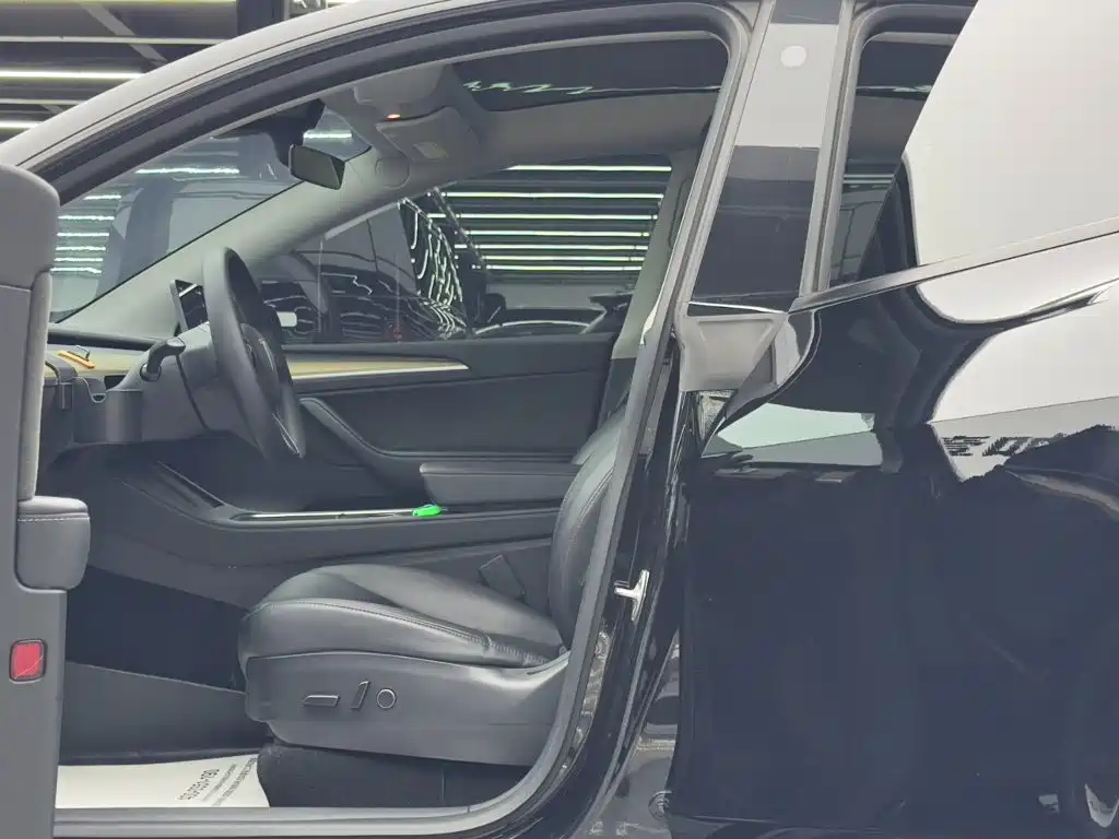Tesla Model Y — миниатюра 8