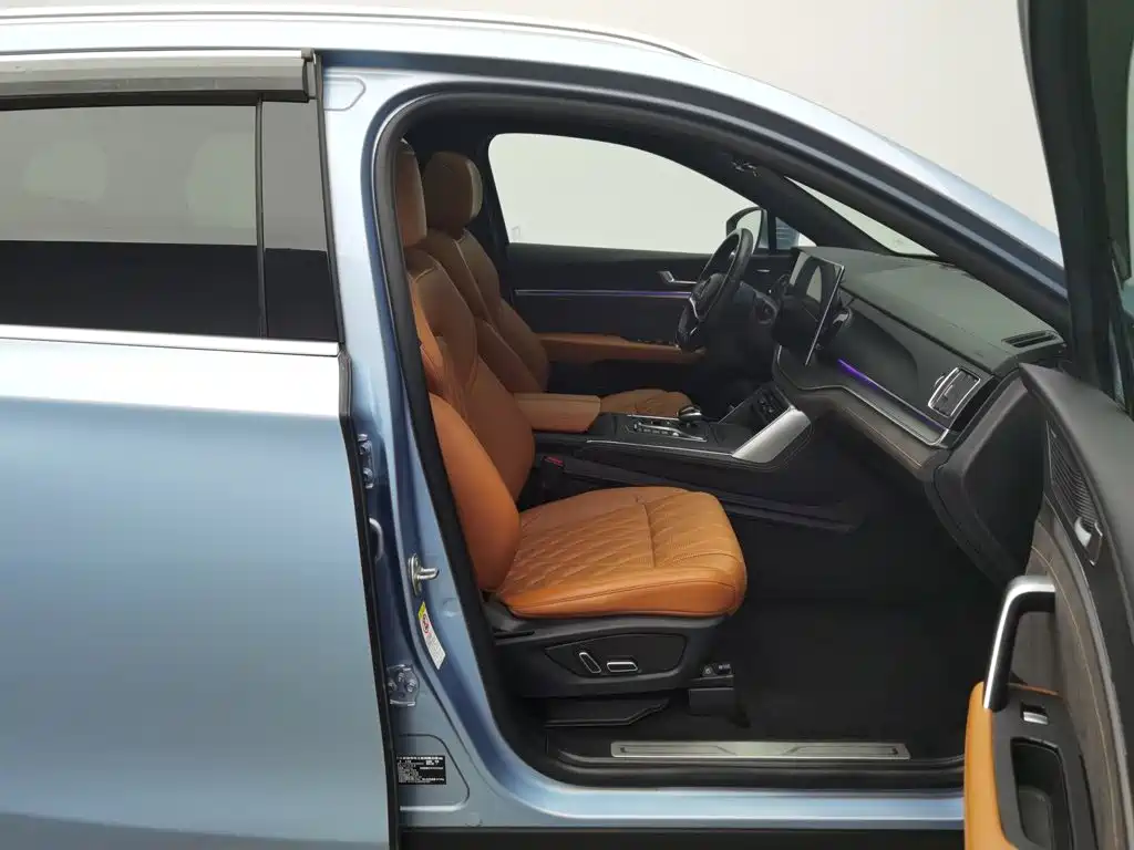BYD Tang New Energy — миниатюра 23