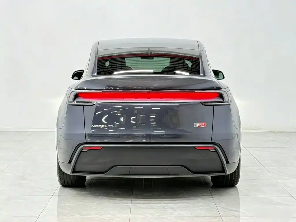 Tesla Model Y — миниатюра 6