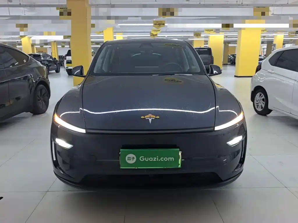 Tesla Model Y — миниатюра 3