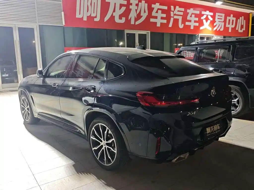 BMW X4 — миниатюра 8