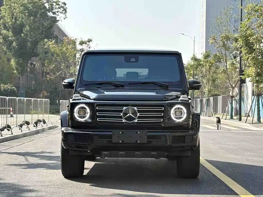MERCEDES-BENZ G CLASS