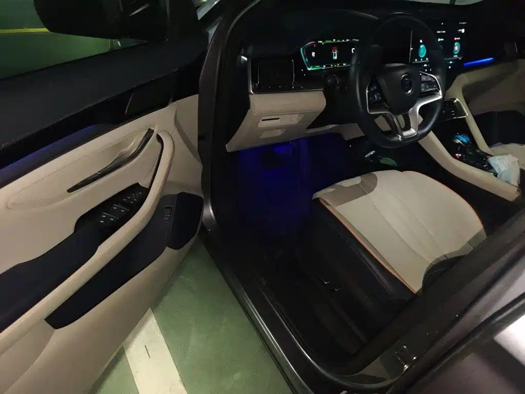 BYD PLUS New Energy — миниатюра 13