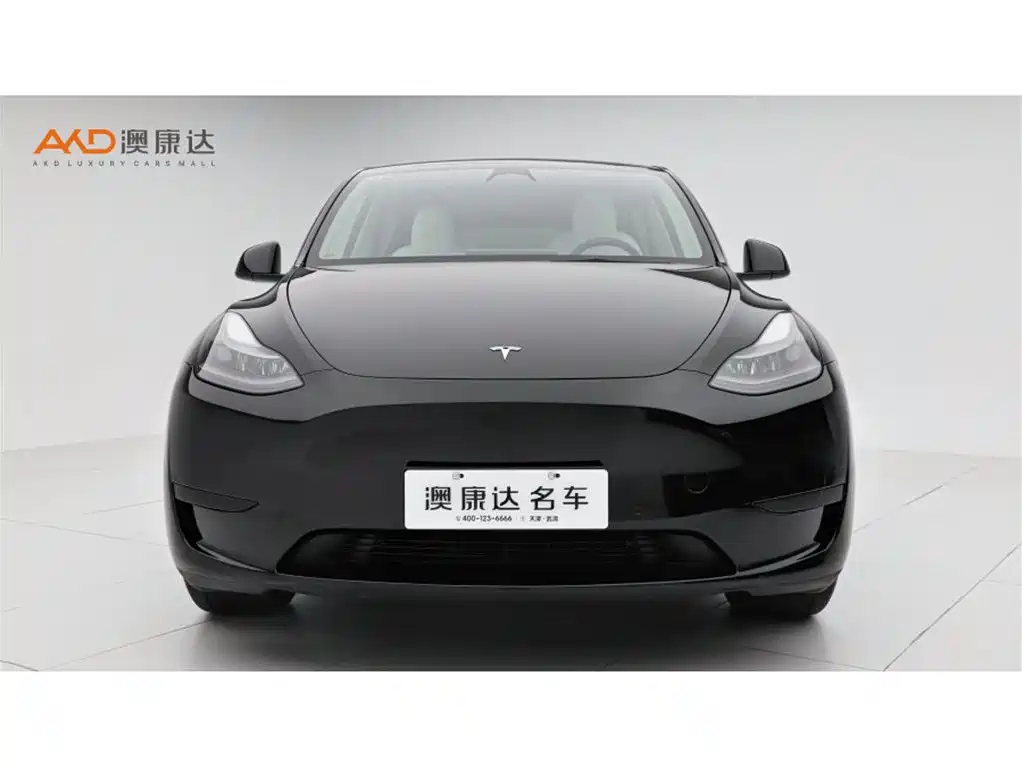 Tesla Model Y — миниатюра 2