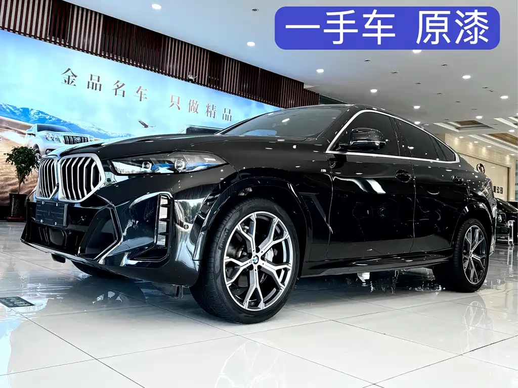 BMW X6 — миниатюра 2