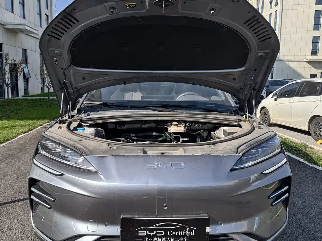 BYD SONGJIANG NEW ENERGY