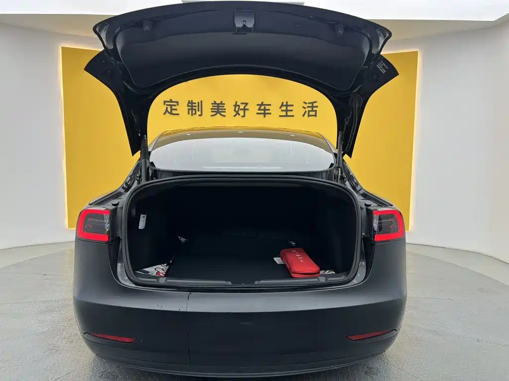 Tesla Model 3 — миниатюра 11