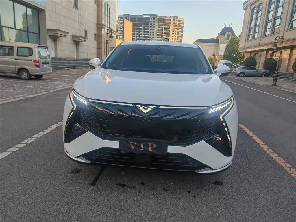 Cowin Kunlun — миниатюра 5