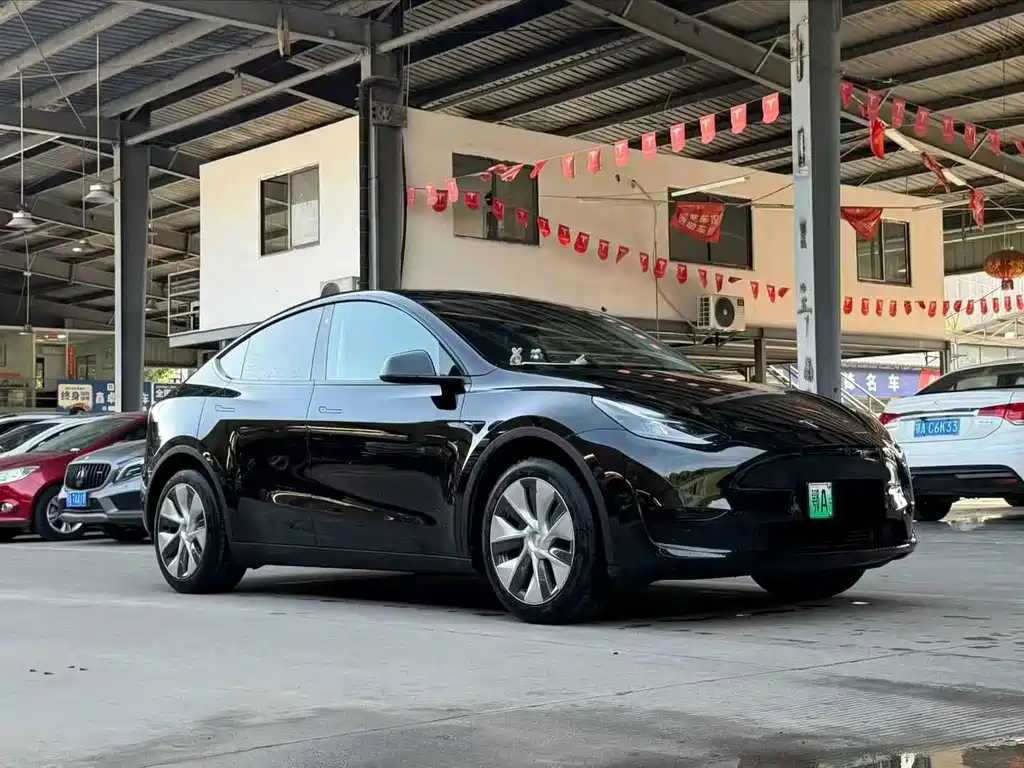 Tesla Model Y — миниатюра 3
