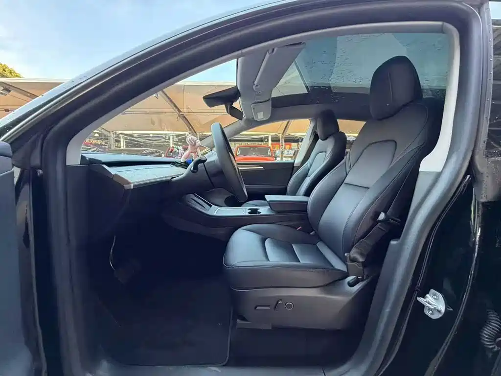 Tesla Model Y — миниатюра 5