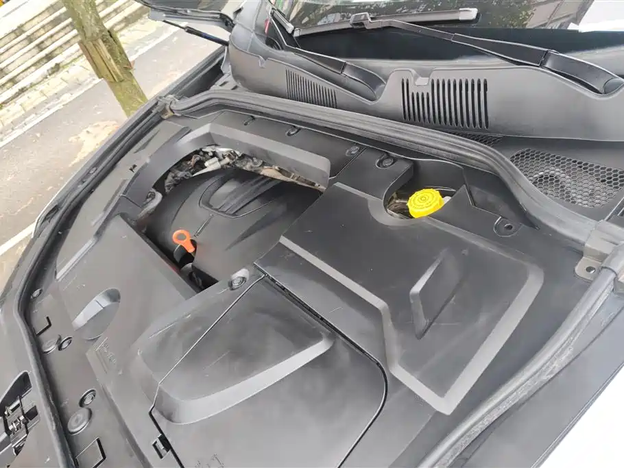 WEI PAI WEI BRAND VV5